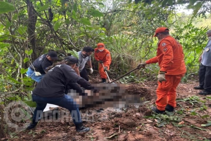 3dd3e036a71f12702403809cfdf37f05