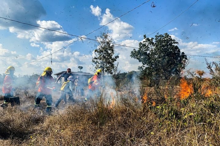 Foto: RDNEWS