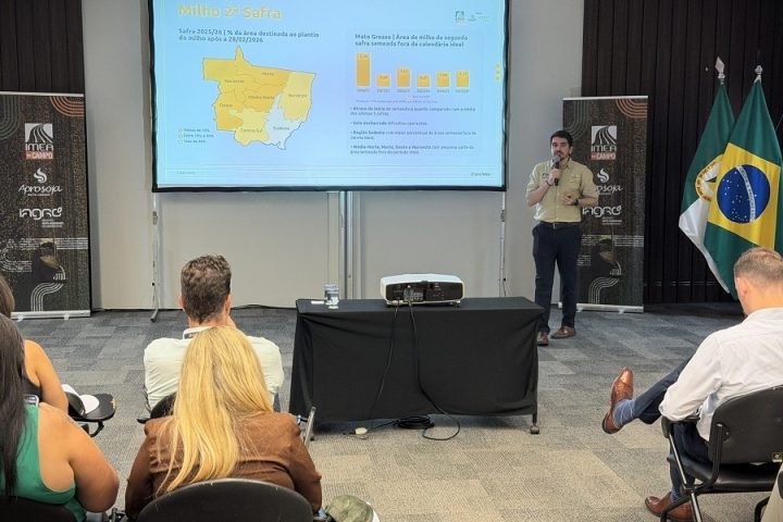 Foto: Foto: Divulgação