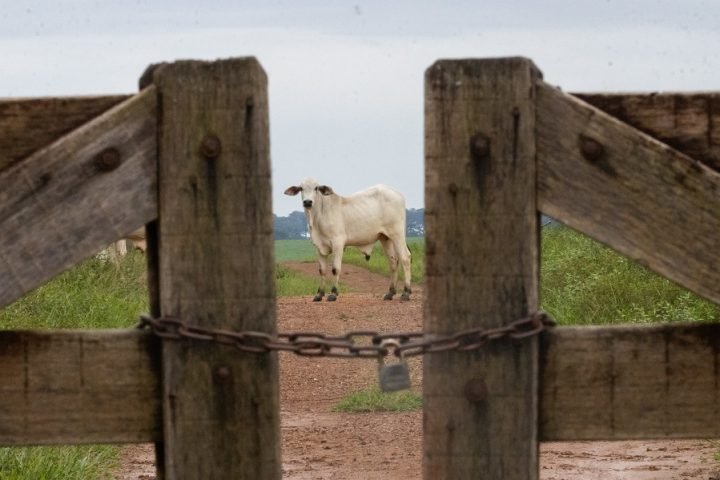 Foto: Foto: Famato