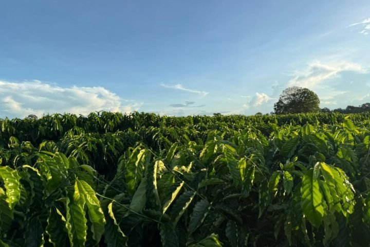 Foto: Foto por: Assessoria Seaf/Empaer