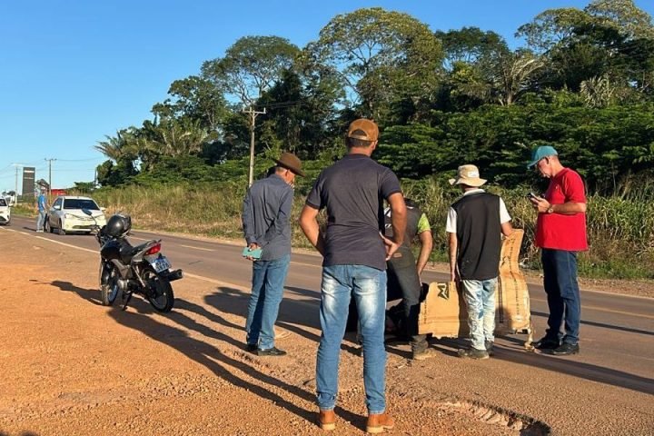 Foto: Foto: Reprodução